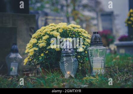 Kerzen und Blumenschmuck aus gelben Chrysantheme-Blumen auf Gräbern auf dem Friedhof während Allerheiligen Stockfoto