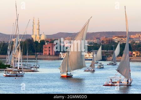 Assuan, Ägypten - 2. Dezember 2010; Eine magische Szene, wie die Dämmerung über dem Nil bei Assuan fällt - eine Felucca in vollem Verkauf mit Moscheen im Hintergrund. Th Stockfoto