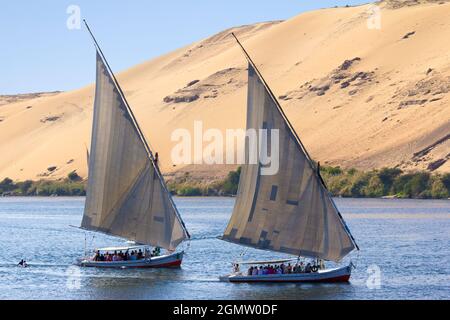 Assuan, Ägypten - 3. Dezember 2010; Eine magische Szene auf dem Nil bei Assuan - zwei Feluccas in vollem Verkauf, scheinbar rasenden, mit den Dünen der Nubier Stockfoto