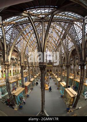 Oxford, England - 2014; das Pitt-Museum ist ein Museum, das die archäologischen und anthropologischen Sammlungen der Universität Oxford zeigt. Stockfoto