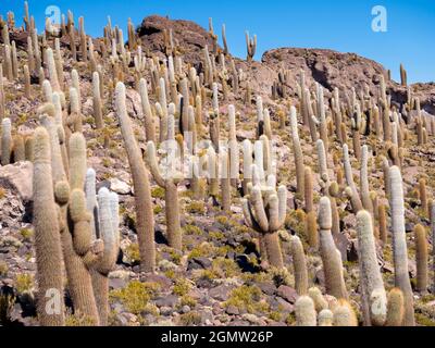 Salar de Uyuni, Bolivien - 23. Mai 2018 die Uyuni-Salzebenen Boliviens sind eines der großen Naturwunder des Planeten. Mit einer Fläche von mehr als 10,000 Quadratmetern Stockfoto