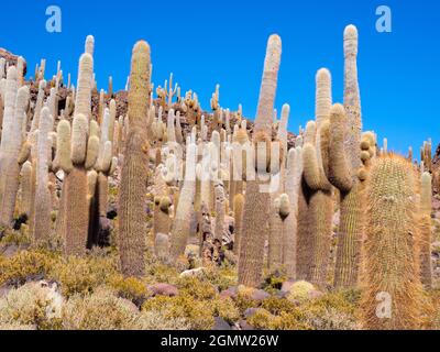 Salar de Uyuni, Bolivien - 23. Mai 2018 die Uyuni-Salzebenen Boliviens sind eines der großen Naturwunder des Planeten. Mit einer Fläche von mehr als 10,000 Quadratmetern Stockfoto