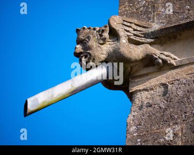 Radley, Oxfordshire, England - 11. April 2021; keine Menschen im Blick. Ein schrulliger, doppelzweckiger Drainpipe-Gargoyle, der auf den Wänden meines lokalen pa festklebte Stockfoto