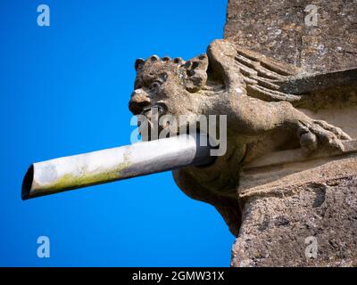 Radley, Oxfordshire, England - 11. April 2021; keine Menschen im Blick. Ein schrulliger, doppelzweckiger Drainpipe-Gargoyle, der auf den Wänden meines lokalen pa festklebte Stockfoto