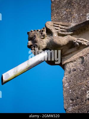 Radley, Oxfordshire, England - 11. April 2021; keine Menschen im Blick. Ein schrulliger, doppelzweckiger Drainpipe-Gargoyle, der auf den Wänden meines lokalen pa festklebte Stockfoto