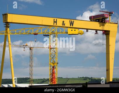 Belfast ist stolz auf seine Industriegeschichte und sein Kulturerbe. Und hier sehen wir einige seiner bekanntesten Reliquien. Samson und Goliath sind die beiden Schiffe für den Schiffbau Stockfoto