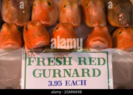 Oxford, England - 2007; Es ist der goofy, schockierte Ausdruck des Fisches, der mich holt. Diese Gurnard in der historischen Markthalle von Oxford sehen tief aus Stockfoto