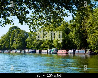 Oxford, England - 19. Oktober 2018; Eine ruhige Szene an der Themse in Oxford, direkt oberhalb der Folly Bridge, mit einer Reihe von festgetäuten Hausbooten Stockfoto