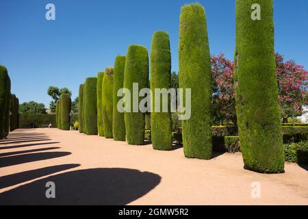 Cordoba, Spanien - 16. Juni 2015; eine Person im Blick. Der Alcazar de los Reyes Cristianos (Alcazar der christlichen Könige), auch bekannt als der Alcazar von Stockfoto