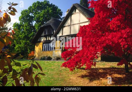 Batsford, The Cotswolds, 2008; das große Arboretum in Batsford liegt etwas außerhalb der malerischen Marktstadt Moreton in Marsh im Herzen Stockfoto