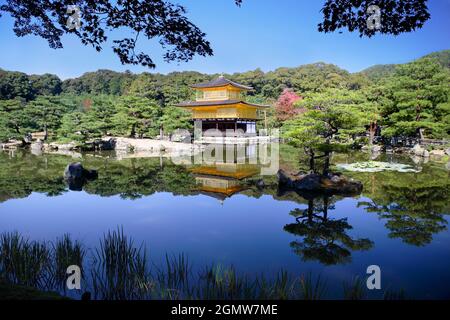 Kyoto, Japan - 2. November 2011 Kinkaku-ji, der Tempel des Goldenen Pavillons ist ein sehr geliebter Zen-buddhistischer Tempel in Kyoto. Inmitten eines atemberaubenden, von Menschen geschafften Stockfoto