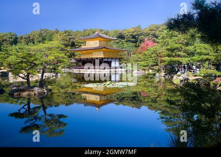 Kyoto, Japan - 2. November 2011 Kinkaku-ji, der Tempel des Goldenen Pavillons ist ein sehr geliebter Zen-buddhistischer Tempel in Kyoto. Inmitten eines atemberaubenden, von Menschen geschafften Stockfoto