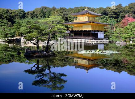 Kyoto, Japan - 2. November 2011 Kinkaku-ji, der Tempel des Goldenen Pavillons ist ein sehr geliebter Zen-buddhistischer Tempel in Kyoto. Inmitten eines atemberaubenden, von Menschen geschafften Stockfoto