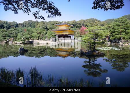 Kyoto, Japan - 2. November 2011 Kinkaku-ji, der Tempel des Goldenen Pavillons ist ein sehr geliebter Zen-buddhistischer Tempel in Kyoto. Inmitten eines atemberaubenden, von Menschen geschafften Stockfoto