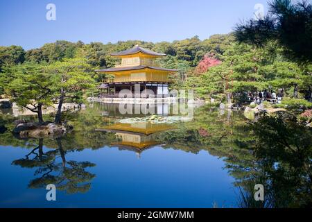 Kyoto, Japan - 2. November 2011 Kinkaku-ji, der Tempel des Goldenen Pavillons ist ein sehr geliebter Zen-buddhistischer Tempel in Kyoto. Inmitten eines atemberaubenden, von Menschen geschafften Stockfoto