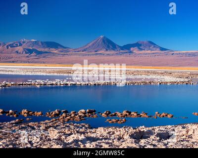 Salar de Atacama, Chile - 27. Mai 2018; die Lagune von Tebinquinche ist Teil des Salar de Atacama, der größten Salzfläche Chiles. Tatsächlich deckt sie über 3,0 ab Stockfoto