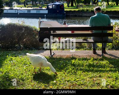 Abingdon, England - 13. September 2020; vier Personen in der Aufnahme, Hauptmotiv von hinten gesehen. Jetzt ist hier eine gemütliche und typisch englische Szene - Stockfoto