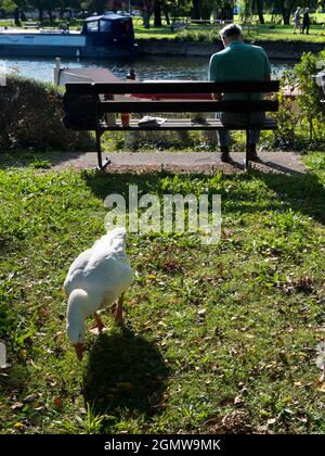 Abingdon, England - 13. September 2020; drei Personen in Schuss, Hauptmotiv von hinten gesehen. Jetzt ist hier eine gemütliche und typisch englische Szene Stockfoto