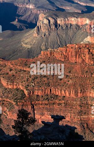 Arizona, USA - 2008. Juni; Mather Point des Grand Canyon am späten Nachmittag. Der Südrand des Grand Canyon bietet einen der spektakulärsten sce Stockfoto