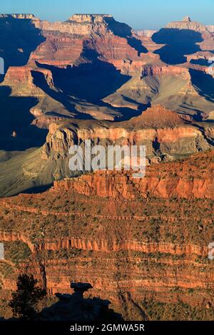 Arizona, USA - 2008. Juni; Mather Point des Grand Canyon am späten Nachmittag. Der Südrand des Grand Canyon bietet einen der spektakulärsten sce Stockfoto