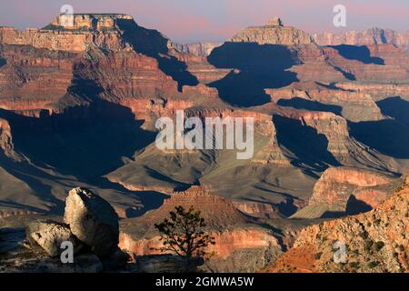 Arizona, USA - 2008. Juni; Mather Point des Grand Canyon am späten Nachmittag. Der Südrand des Grand Canyon bietet einen der spektakulärsten sce Stockfoto