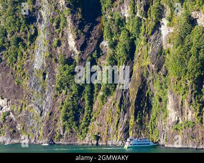 Fiordland, Neuseeland - 25. Februar 2019; Milford Sound ist eines der landschaftlichen Wunder der Welt. Es ist ein herrlicher Fjord des entsprechend n Stockfoto