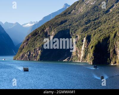 Fiordland, Neuseeland - 25. Februar 2019; Milford Sound ist eines der landschaftlichen Wunder der Welt. Es ist ein herrlicher Fjord des entsprechend n Stockfoto