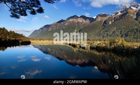 Fjiordland, Neuseeland - 21. Mai 2012 Eine ruhige Szene - ein toter Spiegel-tarn im Hollyford Valley, Fiordland, Neuseeland. Es gibt viele solche Stockfoto