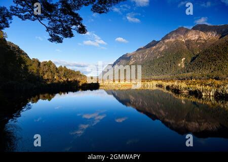 Fjiordland, Neuseeland - 21. Mai 2012 Eine ruhige Szene - ein toter Spiegel-tarn im Hollyford Valley, Fiordland, Neuseeland. Es gibt viele solche Stockfoto