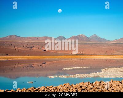 Salar de Atacama, Chile - 27. Mai 2018 die Lagune von Tebinquinche ist Teil des Salar de Atacama, der größten Salzfläche Chiles. Tatsächlich deckt sie über 3,000 ab Stockfoto