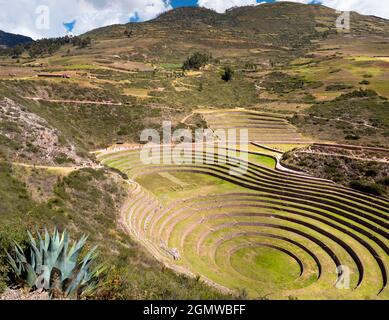 Moray Ampitheater, Peru - 12. Mai 2018 Dieses geheimnisvolle Set von Terrassen ist tatsächlich ein Meisterwerk der alten Inka-Agronomie. Es liegt auf einem Hochplateau Stockfoto