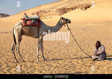 Nubische Wüste, Ägypten - 3. Dezember 2010; das hätte fast eine zeitlose Szene eines Mannes und seines Kamels in der nubischen Wüste sein können - bis man mehr sieht Stockfoto