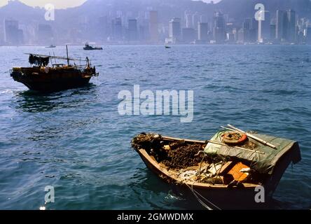 Hongkong, China - 9. Mai 2004 Ein seltener Anblick, dies - Austernfischen im Victoria Harbour von Hongkong. Als ich persönlich in Hongkong lebte, blieb ich immer Stockfoto