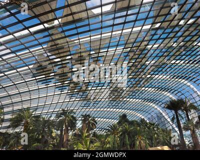 Gardens by the Bay, Singapur - 3. März 2019; Singapur strebt danach, die grünste Stadt der Welt zu sein; es scheint erfolgreich zu sein. Natürlich Klima er Stockfoto