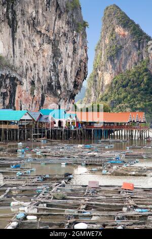 Ein Sea Gypsy Village auf Stelzen in der Phang Na Bay der Andamanensee, Thailand. Eine Fischfarm liegt direkt vor der Küste. Hinter dem Dorf und in der Ferne kann Stockfoto