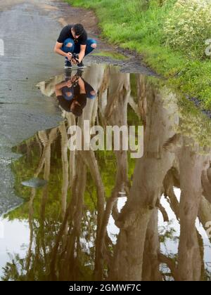 The Dark Hedges ist eine wunderschöne und geheimnisvolle Allee aus Buchen in Ballymoney, Nordirland; sie wurde von der Familie Stuart in der achtziger Jahre gepflanzt Stockfoto