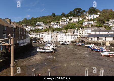 Angeln und Vergnügungsboote bei Ebbe im Hafen von Polperro, Cornwall, mit malerischen, hauptsächlich weiß gestrichenen Häusern des Dorfes im Hintergrund. Stockfoto