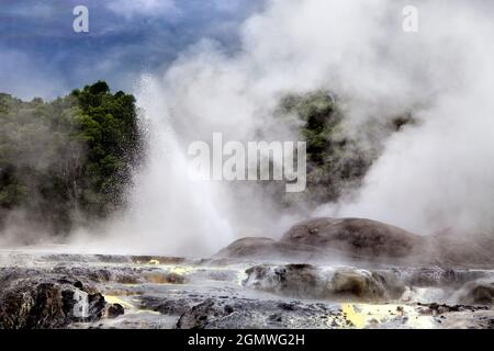 Rotorua, Neuseeland - 13. Mai 2012 Eine urzeitliche Szene aus Dampf, Schlammquellen, Schwefel und Geysire im geothermischen Gebiet Te Puia in Rotorua, der Nordinsel Stockfoto