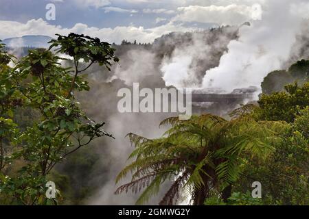 Rotorua, Neuseeland - 13. Mai 2012 Eine urzeitliche Szene aus Dampf, Schlammquellen, Schwefel und Geysire im geothermischen Gebiet Te Puia in Rotorua, der Nordinsel Stockfoto