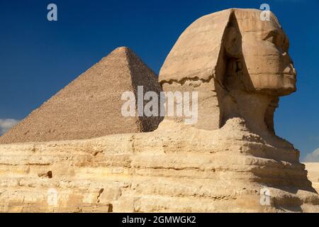 Kairo, Ägypten - 7. Dezember 2010; Eine Sphinx ist ein mythisches Wesen mit dem Kopf eines Menschen und dem Körper eines Löwen. Die berühmteste Darstellung eines solchen c Stockfoto