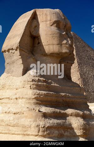 Kairo, Ägypten - 7. Dezember 2010; Eine Sphinx ist ein mythisches Wesen mit dem Kopf eines Menschen und dem Körper eines Löwen. Die berühmteste Darstellung eines solchen c Stockfoto