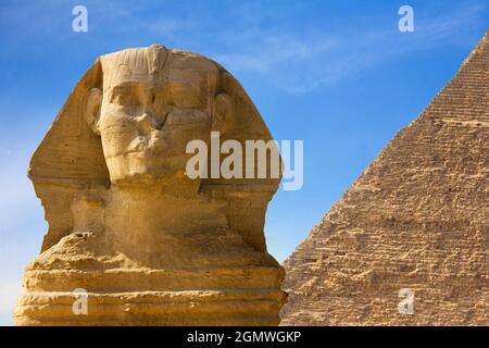 Kairo, Ägypten - 7. Dezember 2010; Eine Sphinx ist ein mythisches Wesen mit dem Kopf eines Menschen und dem Körper eines Löwen. Die berühmteste Darstellung eines solchen c Stockfoto