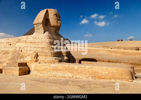 Kairo, Ägypten - 7. Dezember 2010; Eine Sphinx ist ein mythisches Wesen mit dem Kopf eines Menschen und dem Körper eines Löwen. Die berühmteste Darstellung eines solchen c Stockfoto