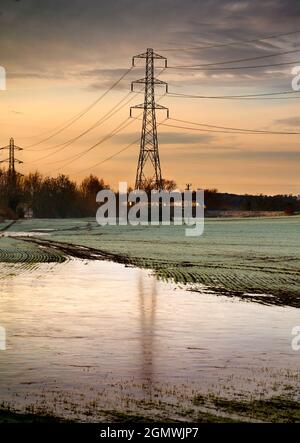 Oxfordshire, England - 30. Dezember 2020; keine Menschen im Blick. Ich liebe Strommasten; ihre abstrakten, vergilbten Formen finde ich unendlich faszinierend. Stockfoto