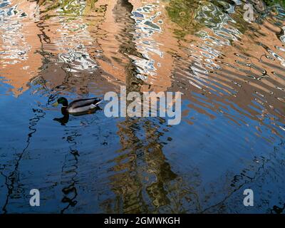 Abingdon, England - 28. Juni 2009 Dies ist ein unretuschierte Bild von Wasserwellen in Abbey Stream, einem kleinen, aber schönen Nebenfluss der Themse von Abi Stockfoto