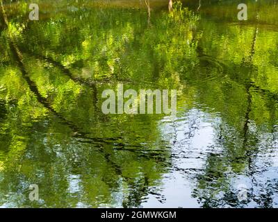 Abingdon, England - 21. Juni 2019 Dies ist ein unretuschierte Bild von Wasserwellen in Abbey Stream, einem kleinen, aber schönen Nebenfluss der Themse von Abi Stockfoto