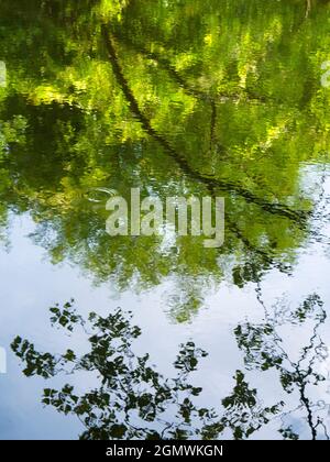 Abingdon, England - 21. Juni 2019 Dies ist ein unretuschierte Bild von Wasserwellen in Abbey Stream, einem kleinen, aber schönen Nebenfluss der Themse von Abi Stockfoto