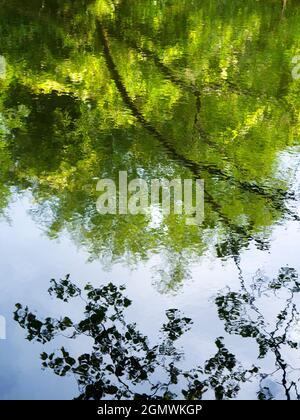 Abingdon, England - 21. Juni 2019 Dies ist ein unretuschierte Bild von Wasserwellen in Abbey Stream, einem kleinen, aber schönen Nebenfluss der Themse von Abi Stockfoto