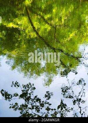 Abingdon, England - 21. Juni 2019 Dies ist ein unretuschierte Bild von Wasserwellen in Abbey Stream, einem kleinen, aber schönen Nebenfluss der Themse von Abi Stockfoto