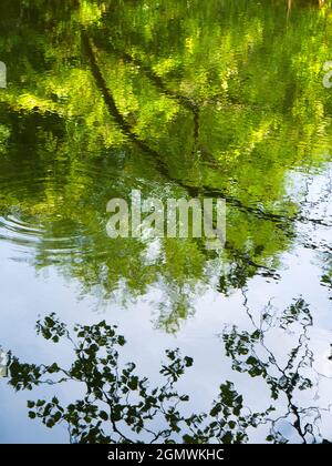 Abingdon, England - 21. Juni 2019 Dies ist ein unretuschierte Bild von Wasserwellen in Abbey Stream, einem kleinen, aber schönen Nebenfluss der Themse von Abi Stockfoto